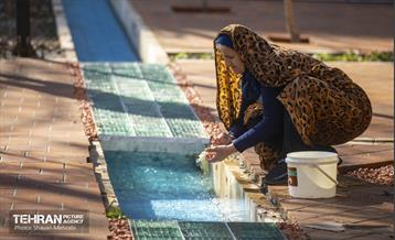 باغ گلاریس 8