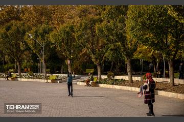 سمفونی رنگ های پاییزی - پارک لاله 23