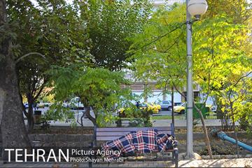 طبیعت پاییزی بلوار کشاورز 26