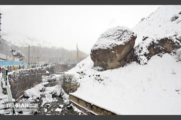 بارش برف زمستانی در منطقه 1 16