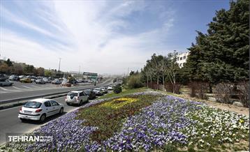 و اینک بهار 23