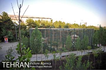 باغ پرندگان تهران 41