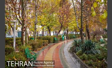 پاییز در بوستان المهدی(عج) 10