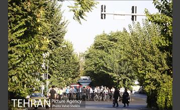 پویش سه شنبه های بدون خودرو 7