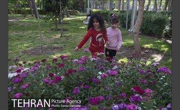 بوستان فدک‎ 20