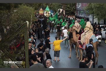 ورود نمادین کاروان امام حسین‌(ع) به کربلا 8