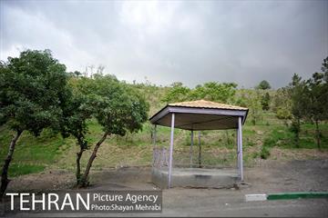 پارک جنگلی لویزان‎ 6