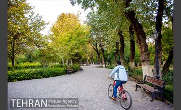 پاییز پارک شهر 11
