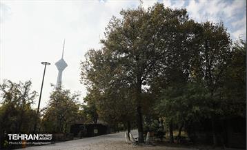 طبیعت پاییزی باغ راه فدک تهران 35