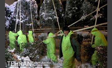 بازدید شبانه مدیران شهری از سایت های برف روبی  2