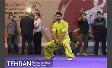 مراسم روز جهانی ووشو 11