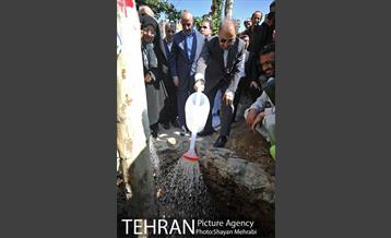 احیای درختان خیابان  ولیعصر( عج) با حضور شهردار تهران  30