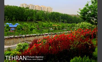 بوستان جوانمردان ایران‎ 13