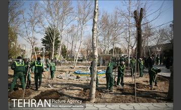 غرس نهال در بوستان بهاران 3