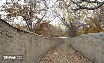 طبیعت پاییزی کوچه باغ‌های محله کن 28