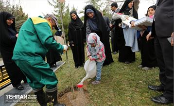 دومین پویش نفس‌های تازه شهر 25