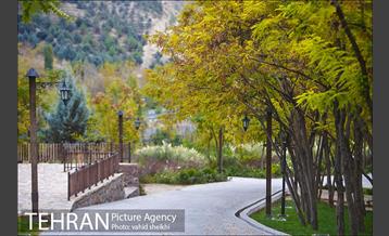طبیعت پاییزی بوستان فدک 2