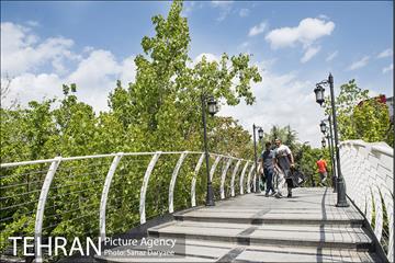 بوستان آزادگان 41