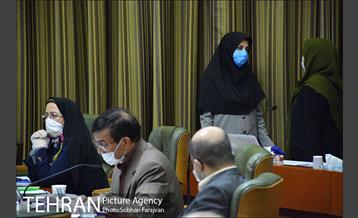 دویست و هفتمین جلسه شورای شهر 26