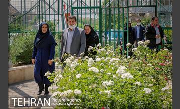 بازدید مهندس شاپور رستمی معاون هماهنگی و امور مناطق شهرداری تهران از پروژه های منطقه ۸ 9