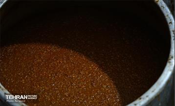 اجتماع بزرگ علوی در باغ‌راه حضرت زهرا(س) 2