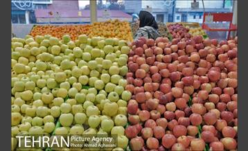 میدان میوه وتره بار شهید غیبی شهرری 6