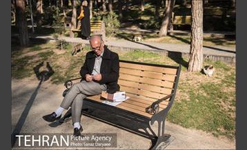 پارک ساعی 26