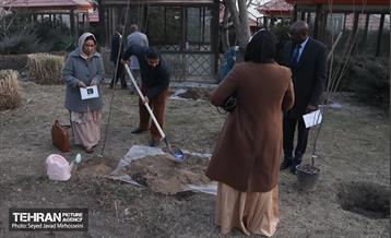 مراسم سومین آیین کاشت نهال صلح و دوستی  32