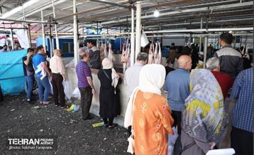 مرکز عرضه دام بهداشتی به مناسبت عید قربان 24