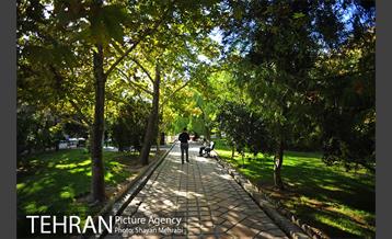 بوستان هنرمندان (ایرانشهر) 18