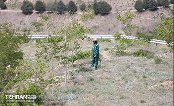 بازدید اصحاب رسانه از کمربند سبز 8