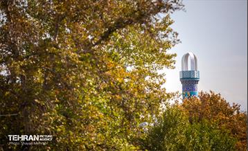 سمفونی رنگ های پاییزی  2