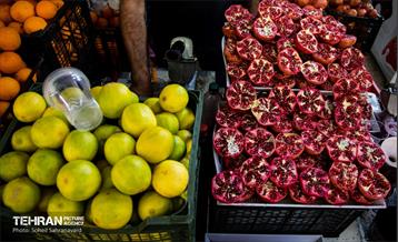 شهرنگار؛ درکه 15