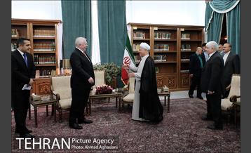 دیدار شهردار وین با رئیس تشخیص مصلحت نظام 1