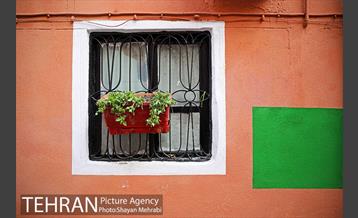 کوچه رنگی قدیانی 6