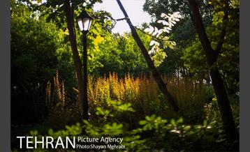 بوستان باغ ایرانی 37