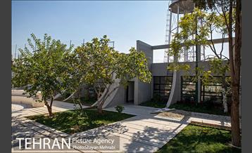 بوستان بخشی فر 6