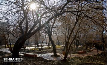 باغ گلاریس 47