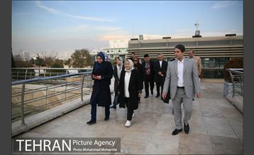 دیدار معاون وزیر خمات عمومی اندونزی با معاون برنامه ریزی 21