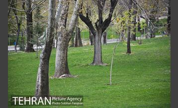 روز طبیعت متفاوت شهر تهران-1 20