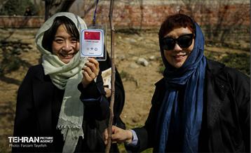 آیین درختکاری در منطقه‌5 6