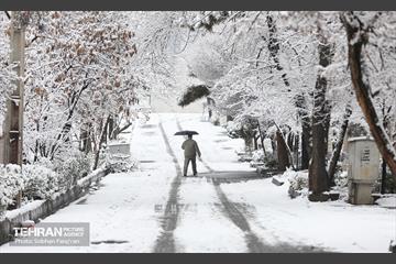 صبح آدینه برفی  33