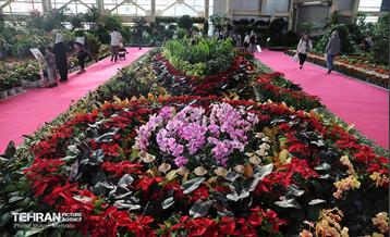 بیستمین نمایشگاه بین‌المللی گل و گیاه 31