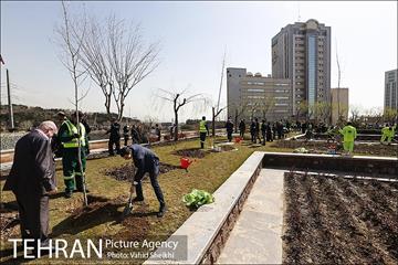 آیین کاشت درخت صلح و دوستی 41