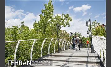 بوستان آزادگان 41