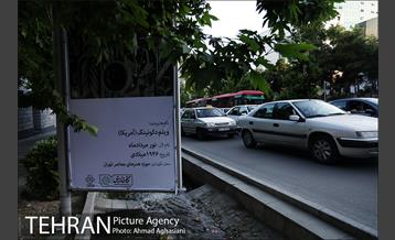 نگارستانی به وسعت شهر 5