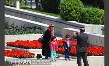 رویش گل های لاله در بوستان گفتگو 4