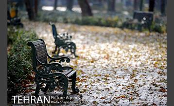 پاییز در پارک شهر 28