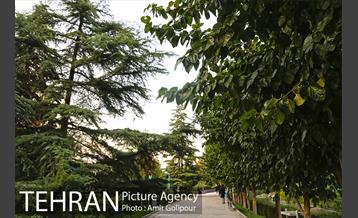 بوستان گفتگو‎ 20