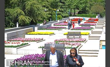 رویش گل های لاله در بوستان گفتگو 30